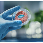 The Science Behind Cultured Meat: Pioneering Sustainable Protein Production